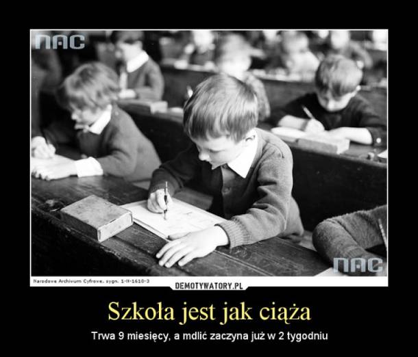 wyniki