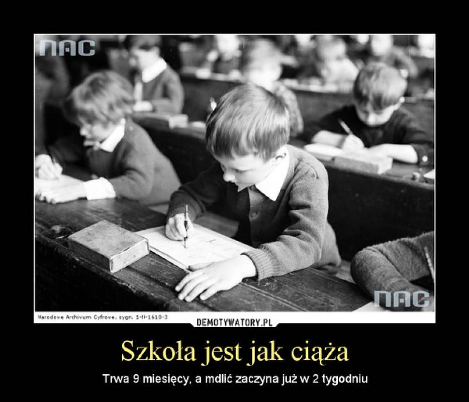 54047b083da4a_o,size,933x0,q,70,h,8b78d2