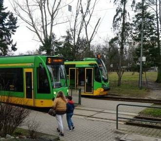 Trwają prace na pętli tramwajowej Ogrody w Poznaniu. Tramwaje jeżdżą objazdami!