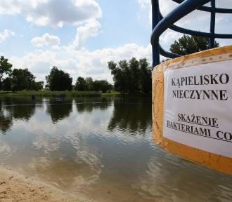Zamknięte jeziora w Wielkopolsce. Sanepid wydał ostrzeżenia