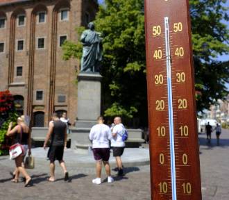 W Toruniu było blisko rekordowej temperatury. A jaka prognoza na kolejne dni? Sprawdź