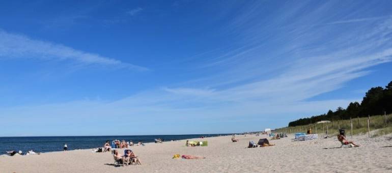 Zdjęcie artykułu z dnia 20-01-2026