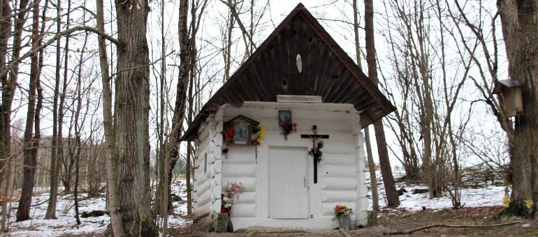 Zdjęcie artykułu z dnia 27-02-2026