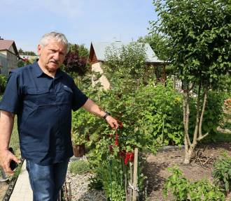 Działkowcy z Rzeszowa walczą o przyszłość swoich ogrodów