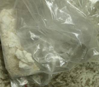 Kryminalni z Włocławka zabezpieczyli ponad pół kilograma narkotyków. Zdjęcia