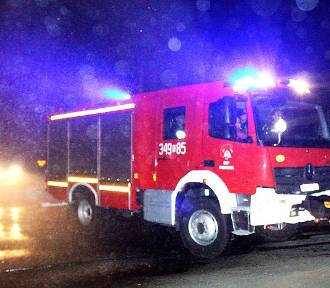 Nocna akcja pięciu straży pożarnych przy granicy polsko słowackiej... Chwytali krowę