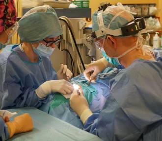 Klinika w Poznaniu od 30 lat przywraca pacjentom słuch wszczepiając implanty