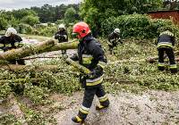 Strażacy po burzach w regionie interweniowali ponad sto razy. Jedna osoba nie żyje!