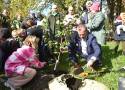 Święto Drzewa w Sosnowcu. Prezydent miasta i uczniowie szkół podstawowych sadzili drzewka owocowe w parku Harcerskim