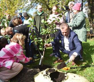Święto Drzewa w Sosnowcu. Uczniowie szkół podstawowych zasadzili nowe drzewka