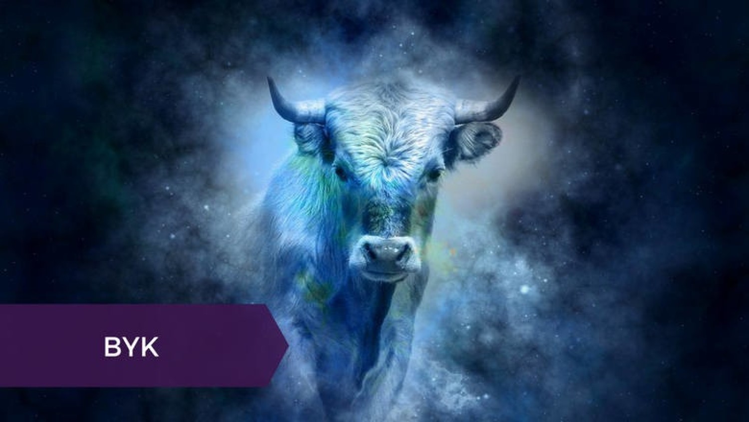 Osoby spod tego znaku zodiaku są uparte, zdecydowane, ale także bardzo zmysłowe - dużo miejsca w swoim życiu poświęcają przyjemnościom zmysłowym