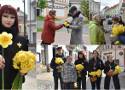 Uczniowie "Ogrodnika" i wolontariusze Fundacji AntySchematy 2 rozdawali przechodniom kwiaty. Tak wyglądała "Akcja Żonkile 2024" w Tarnowie