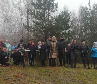 Grupa Drogołazy MJ powitała nowy rok marszem nordic walking