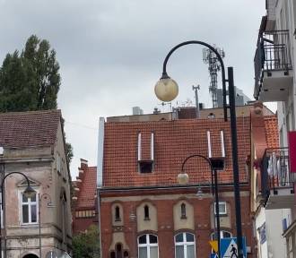 Wymiana opraw i źródeł oświetlenia w Tczewie. Ma być taniej i jaśniej  
