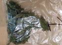 36-latek z powiatu dzierżoniowskiego miał ponad 15 gramów narkotyków w samochodzie i w domu