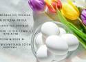 Wielkanocne ŻYCZENIA 2024 - idealne do wysłania w święta! Skopiuj, pobierz i wyślij bliskim! Są poważne, rymowane, śmieszne, religijne