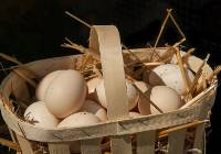 Wszystko, co musisz wiedzieć o wielkanocnych jajkach