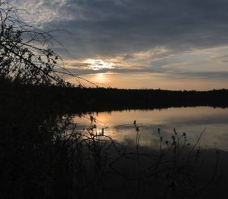Zachód słońca nad jeziorem Obradowskim. Rezerwat przyrody zachwyca swoim pięknem!