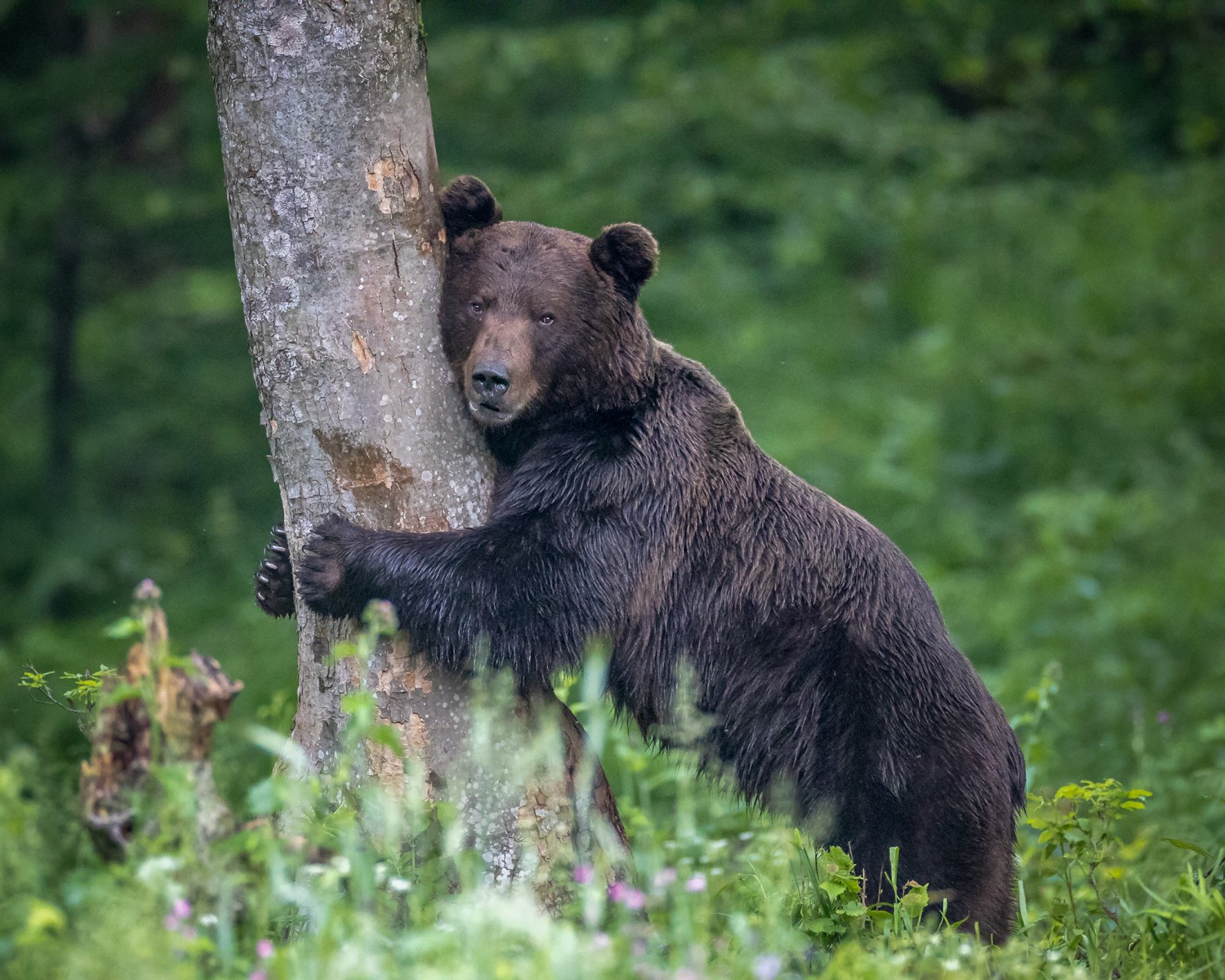 Paweł Ziaja z Chmielnika koło Rzeszowa od lat pasjonuje się fotografią