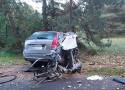 Śmiertelny wypadek w Rogóźnie w gminie Widawa ZDJĘCIA