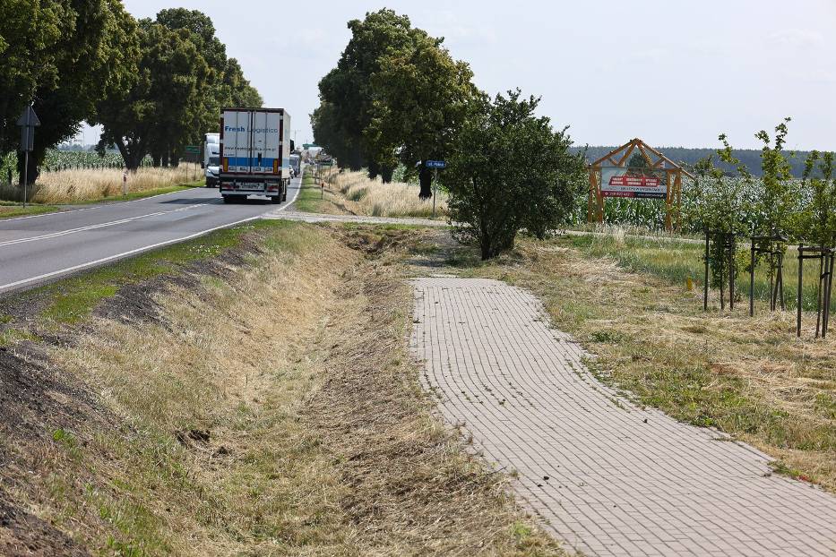 Budowa ważnej ścieżki rowerowej od Leszna zagrożona. Budowa miała ruszyć po wakacjach