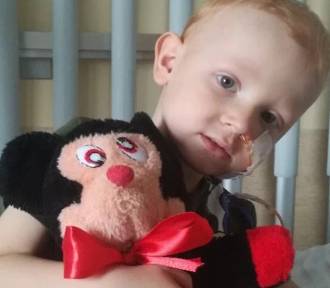 3-letni Tomuś z Krosna potrzebuje pieniędzy na operację guza mózgu