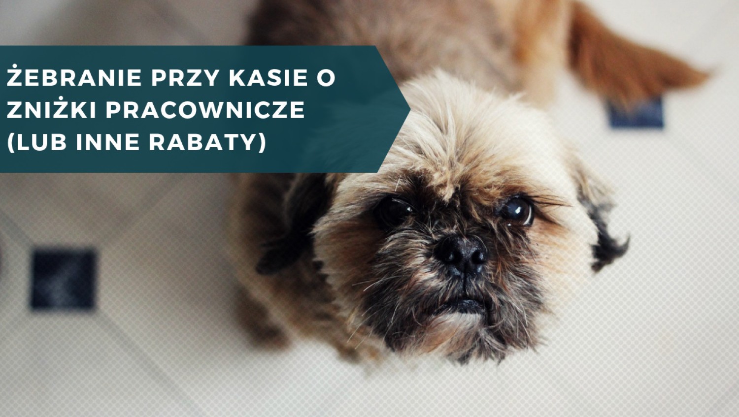 Żebranie przy kasie o rabaty