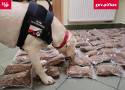 Suczka Beti podczas kontroli wywąchała wyroby tytoniowe w przesyłkach kurierskich. Zabezpieczono ponad 50 kg podejrzanego towaru