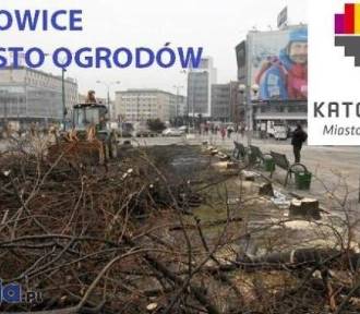 25 najlepszych memów o Katowicach. Pośmiejmy się ze stolicy województwa śląskiego