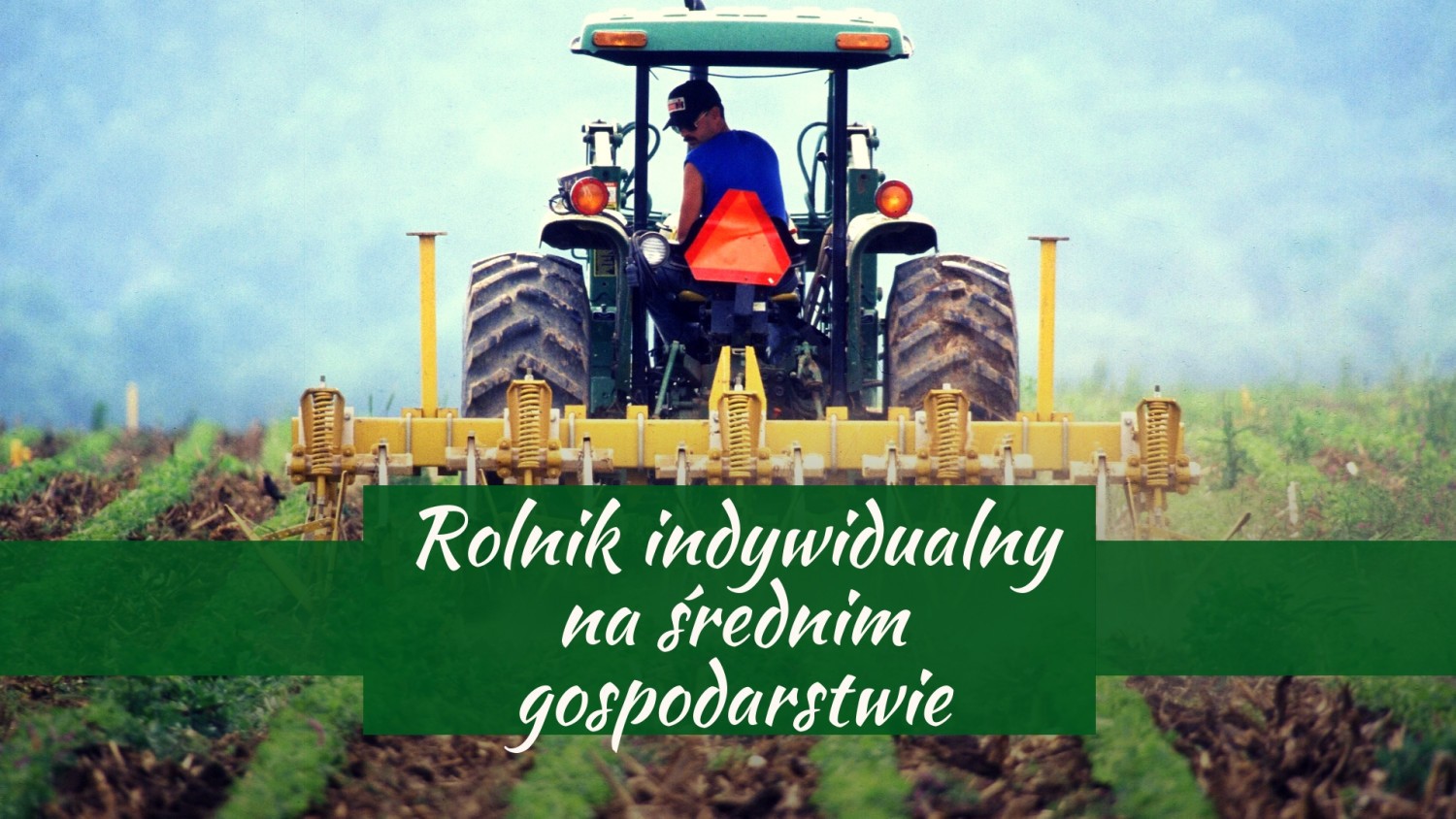 Rolnik indywidualny na średnim gospodarstwie - 36%