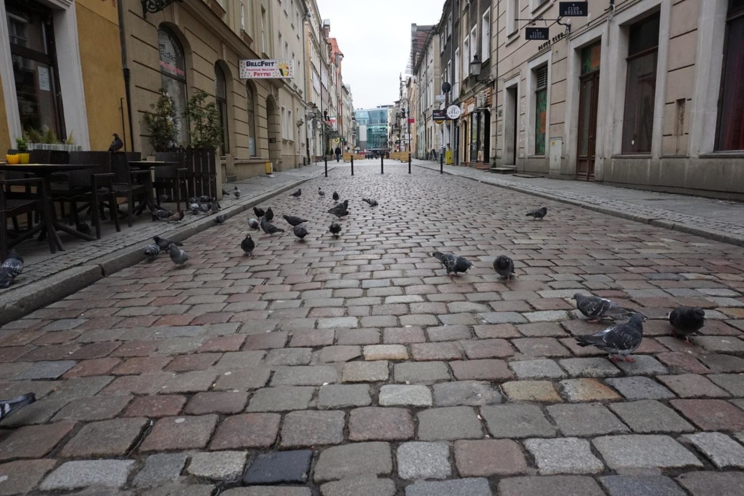 Na brak miejsc zielonych mogą też narzekać mieszkańcy Starego Miasta, gdzie mimo powstających skwerów zieleni, brakuje starych zadrzewień