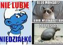 Blue Monday 2023. Memy poprawią Wam humor w poniedziałek 16 stycznia, w najbardziej depresyjny dzień roku
