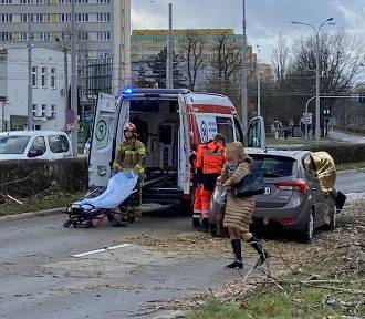 Huragan Xavi we Wrocławiu. Drzewo spadło na jadący samochód, jest poszkodowany