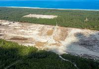 Znika las w miejscu projektowanej elektrowni jądrowej na Pomorzu