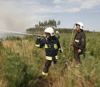 UWAGA! Zagrożenie pożarowe w lasach Dolnego Śląska