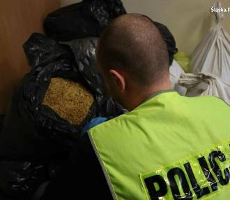 Nielegalny tytoń przechwycony w Bytomiu. Policja znalazła 120 kg suszu bez akcyzy