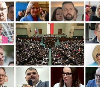 Jakimi sprawami zajmują się w Sejmie posłowie z Małopolski? 