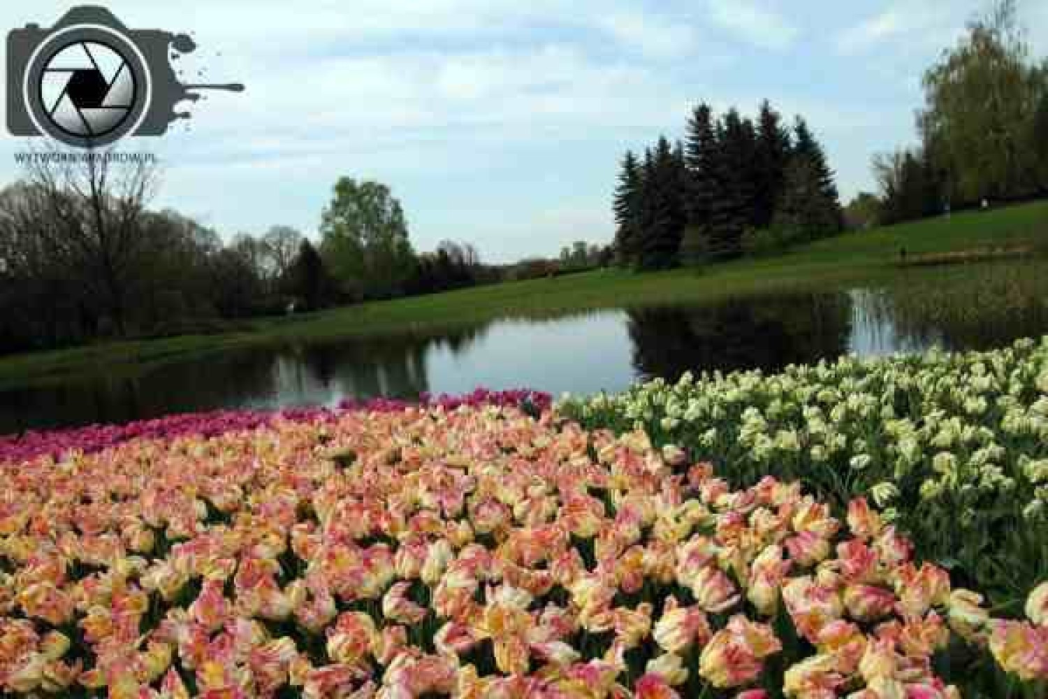 Ogród Botaniczny wabi pszczoły