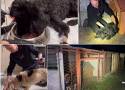 Obrońcy zwierząt odebrali psy z gminy Rusiec. Zdjęcia są drastyczne. Co na to gmina?