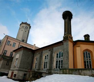 Oto 10 największych wsi na Dolnym Śląsku. Zdziwisz się, są jak małe miasta
