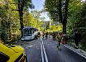 Tragiczny wypadek na Przełęczy Kowarskiej - 14 osób rannych. Autokar z wycieczką wjechał w drzewo. AKTUALIZACJA