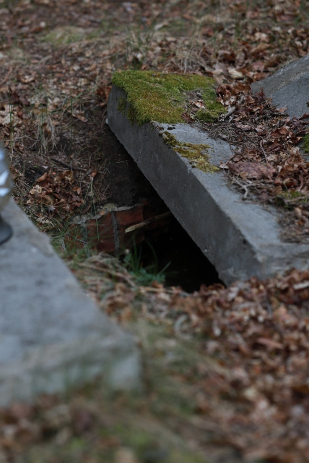 Zielona Góra Jeleniów. Czy ten cmentarz skrywa mroczną tajemnicę? Zobaczcie zdjęcia zapomnianych mogił sprzed lat