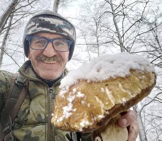 W Bieszczadach spadł śnieg, ale grzyby wciąż są (ZDJĘCIA)