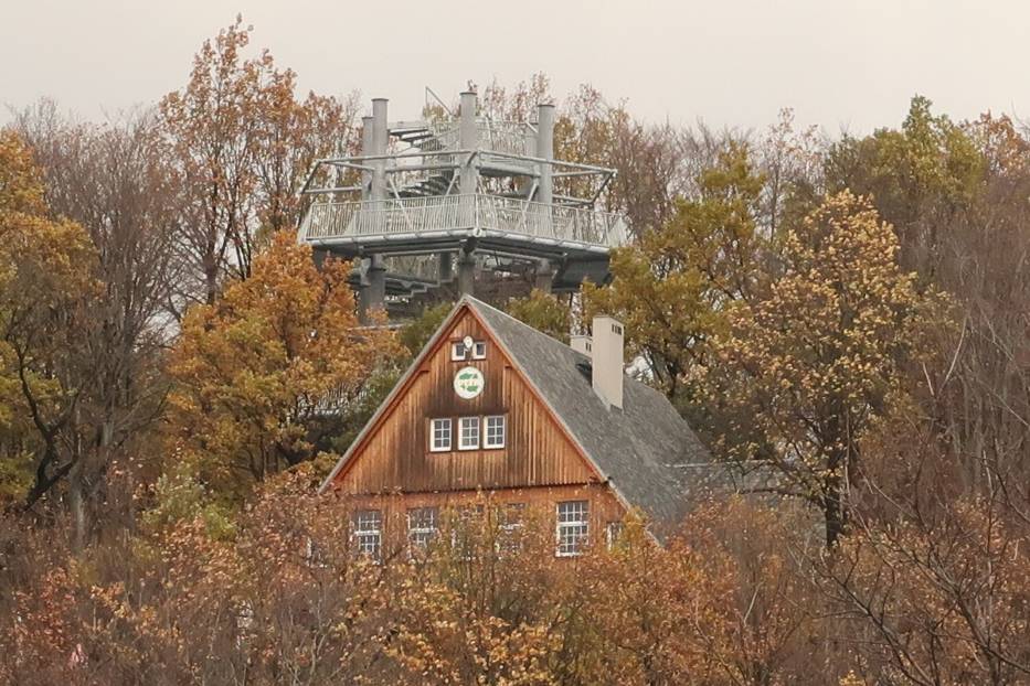 Wieża widokowa w Parku Sobieskiego w Wałbrzychu wychodzi ponad drzewa. Wykonawca: Wkrótce koniec montażu - zobaczcie zdjęcia
