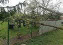 Zmiana pogody w Śląskiem! Jest ostrzeżenie IMGW. Burze, grad i deszcz oraz porywisty wiatr na południu województwa