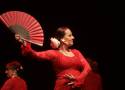 Legnica: Pokaz tańca flamenco sekcji działającej przy Legnickim Centrum Kultury 