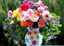 Przed Dniem Matki. Miłość, przyjaźń, szacunek, podziw - poznaj symbolikę kwiatów!