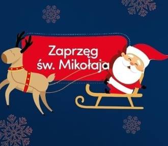 Zaprzęg Świętego Mikołaja znów wyruszy, by czynić dobro