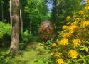 Lądek Zdrój: największa szyszka świata ważąca 235 kg jest w miejscowym arboretum