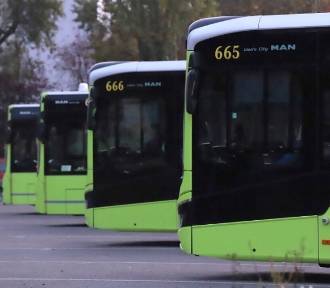 W Gorzowie każdy może poczuć się jak kierowca autobusu lub usiąść za sterami tramwaju